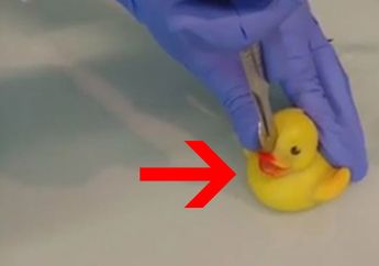 Jadi Teman Anak-anak Saat Mandi, Ternyata Isi Dalam Mainan Bebek Bisa Membahayakan