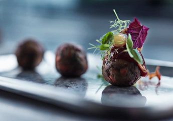 Waduh, Perusahaan Furnitur Dunia Berencana Luncurkan Bakso yang Terbuat dari Cacing!