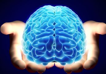 WOW! Ternyata Membedakan Kemampuan Otak Kanan Otak Kiri Bisa Dilihat Dari Penampilan Sehari-hari Loh!