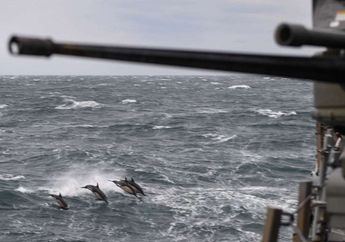 Tak Masuk Nalar, Amerika Ingin Gunakan Ikan Laut Sebagai Agen Mata-matanya