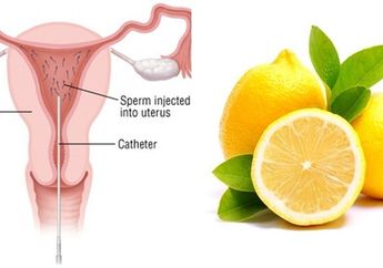 Wanita Wajib Tahu, 7 Makanan Ini Bisa Cegah Tumor di Rahim