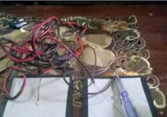 Kejam, Pegawai BPS Lamongan Tega Menyetrum Anak dan Istrinya Karena Hal Sepele