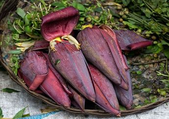 Selain Anti Depresi, Inilah Manfaat Lain Jantung Pisang Buat Kesehatan