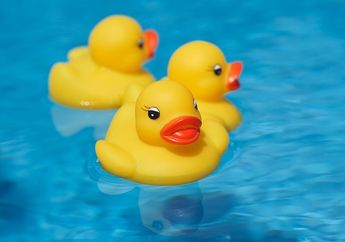 Di Balik Bentuknya yang Lucu, Bebek Karet Jadi Sarang Bakteri Berbahaya, Ini Penjelasannya