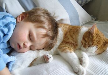 5 Manfaat yang Akan Kamu Dapatkan Saat Memiliki Hewan Peliharaan