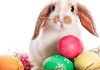 Paskah Identik Dengan Telur Hias, Kelinci dan Coklat, Ini Loh Asal Usulnya