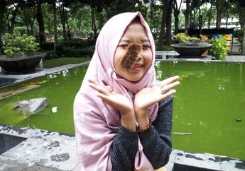 Kisah Gadis Asal Kediri, Punya Hobi Memelihara Hewan Ekstrem Sejak Umur 2 Tahun