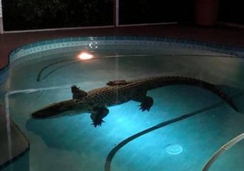 Saking Anehnya, 7 Berita ini Disangka Orang Sebagai April Mop, Padahal Nyata Terjadi