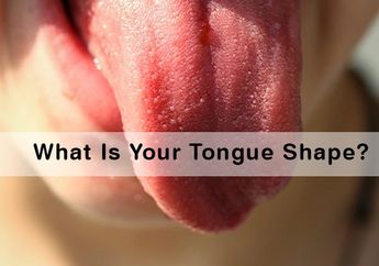 Baca Kepribadianmu dari Bentuk Lidah yuk! Bersyukurlah Kamu yang Miliki Tipe Lidah Melengkung