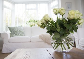 5 Tips Agar Rumah Tampak Lebih Bersih Saat Akhir Pekan, Tamu Pun Nyaman Berkunjung