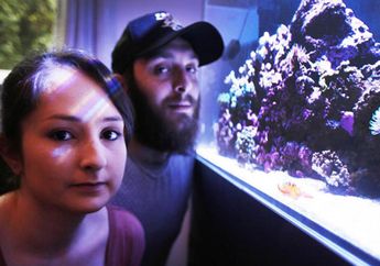 Bersihkan Aquarium, Pria Ini Buat Satu Keluarga Keracunan dan Hampir Meninggal