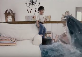 Kisah Anak Kecil yang Pernah Nyaris Digigit Hiu, Tak Disangka ini Penyebabnya