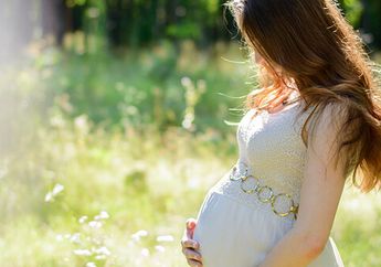 Aman Nggak sih Mengonsumsi Buah Asam Selama Hamil? Begini Penjelasannya