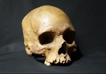 Pemberontakan India 1857 Terungkap dari Penemuan Tengkorak di Sebuah Tempat Hiburan