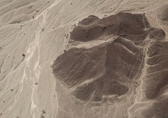 Sebuah Penelitian  Menunjukkan Adanya Penemuan 50 "Ukiran Suci" Kuno di Peru