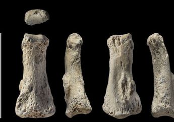 Ditemukan Potongan Tulang Jari di Gurun Nefud, Peneliti Ungkap Saudi Arabia Jadi Kunci Sejarah Peradaban Manusia