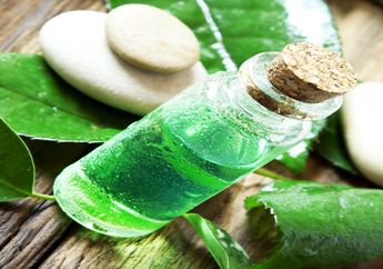 Hilangkan Keloid yang Muncul di Kulit dengan Perawatan Tea Tree Oil, Ini Buktinya