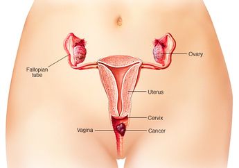 Begini Caranya untuk Menjaga Miss V Anda Tetap Bahagia dan Awet Muda