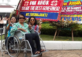 Dengan Bekal Kursi Roda dan Tongkat, Wanita Ini Datang ke Balai Kota Jakarta, Bikin Hati Haru