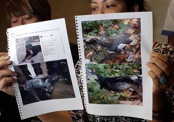 VIDEO : Bukti-Bukti Penelantaran Hewan Animal Defender