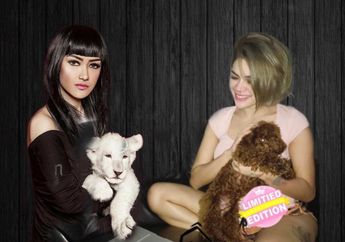 Jupe Dalam Keadaan Begini Masih Harus Berurusan dengan Polisi, Gara-gara Laporan Nikita Mirzani