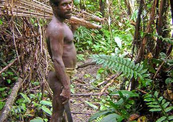 Ngeri, Perilaku Kanibal Suku Korowai di Papua Barat, Potongan Tubuh dan Otak Manusia Dimakan Saat Hangat