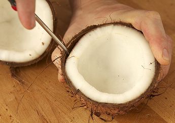 Ini 6 Manfaat Rahasia Kelapa Kering, Salah Satunya Bisa Cegah Kemandulan