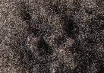 4 Bahan Alami Ini Bisa Atasi Masalah Rambut Rontok, Meski Bau Ternyata Bawang Putih Juga Bisa Loh