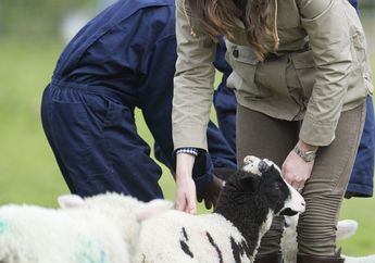 Dipakai Lebih dari 10 Tahun, ini Bentuk Sepatu Kesayangan Kate Middleton!