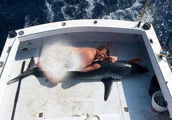 Kegilaan yang Viral, Pria yang Ternyata Polisi Ini Mencabuli Hiu