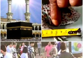 TERPOPULER : Tokek Besar Rp 1 Miliar, Hilangnya Sesuatu di Kabah, dan Sedihnya Wanita Tendangi Anaknya di Jalanan