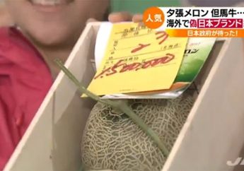 Bikin Geleng Kepala, Sepasang Melon Ini Harganya Lebih Mahal Dari Mobil Hatchback Merek Honda 