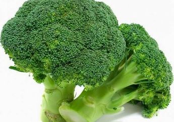 Tidak Bisa Dipungkiri, Ini Adalah Makanan Pencegah Kanker Payudara