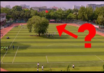 Arsiteknya Terlanjur Dicap Bodoh, Ternyata Inilah Penjelasan Ada Pohon di Tengah Lapangan Bola!