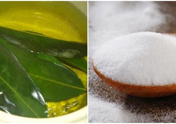 Terpopuler: 4 Metode Murah Alami Sederhana Untuk Sembuhkan Penyakit Kanker Serviks Seperti Jupe 