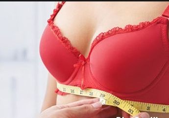 Ladies, Ini Loh Faktanya Mempunyai Payudara Besar Kamu Pasti Enggak Nyangka