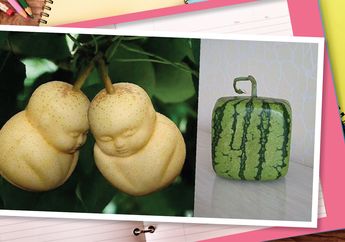Unik dan Lucu, Ternyata Begini Teknik Membentuk Buah Sesuai Keinginan
