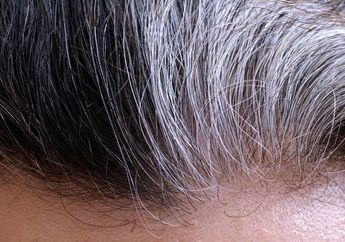 Masih Zaman Ngabisin Uang untuk Ngecat Rambut Ber-uban? Mending Pakai Bahan Alami Deh!