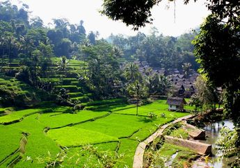 Desa Berjaya, Pengentasan Kemiskinan Ala Digital di 1000 Desa