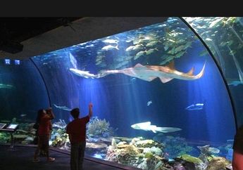 Liburan Asik Tanpa Macet, Penasaran di Mana?