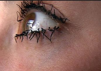 5 Cara Merawat Bulu Mata Agar Tetap Badai dan Tidak Rontok Meski Sering Menggunakan Mascara