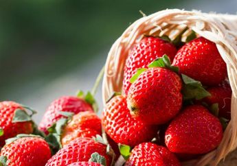 Si Merah yang Kaya Akan Manfaat, Kamu Pasti Suka