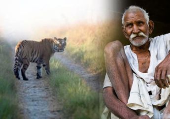 Inikah Desa Terkejam di Dunia? Warga Lansia Dijadikan Mangsa Harimau, Alasannya Bikin Miris