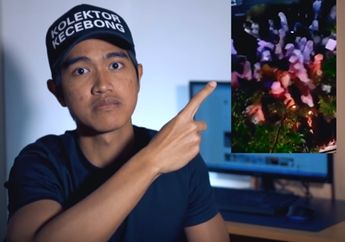 Anak Bungsu Presiden Jokowi dilaporkan Polisi Soal Penodaan Agama, Ini Loh Gara-Garanya