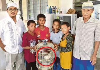 Tangkapan Bocah ini Bikin Ayahnya Kaget, Dikira Hanya Ada di Dongeng