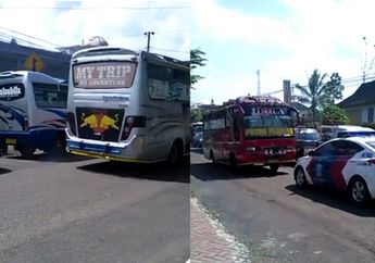 Rasain, Supir Bis di Wonosobo Ini Dipaksa Mundur Jauh Karena Ambil Jalur Berlawanan