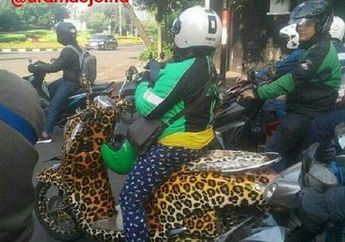 Roaaarrrr...Skutik Macan Tutul Ketangkep Kamera Dibuat Ngojek Online, Netizen Selfok Sama Babang Disebelahnya
