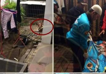 Memilukan, Anak 8 Tahun Tewas Digigit Anjing Pitbull di Malang, Tak Disangka, Ini yang Terjadi
