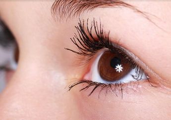 Bebas Risiko dan Terbukti, Ini Tips Melentikkan Bulu Mata Secara Alami Hanya Dalam 2 Minggu Saja! 