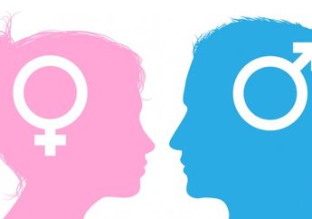 Ini Faktanya Kalau Otak Wanita Lebih Aktif Dibandingkan Otak Pria